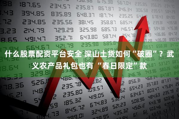 什么股票配资平台安全 深山土货如何“破圈”？武义农产品礼包也有 “春日限定”款